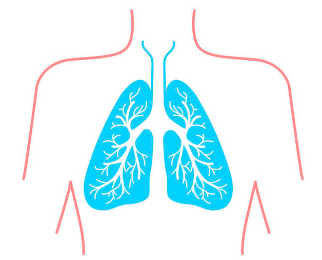 冬季养生，记得先养肺(图1)