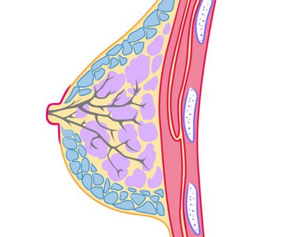老年乳房癌前兆(图1)